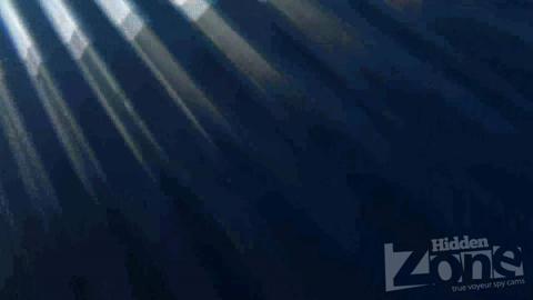 24604