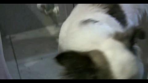 14282
