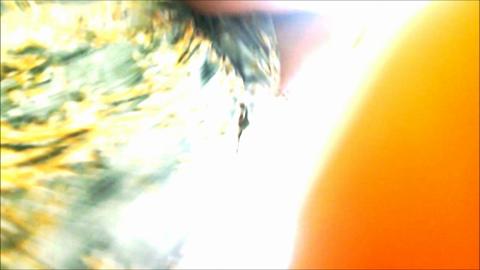 13063