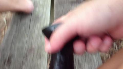 34070