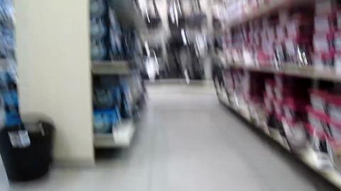 23293