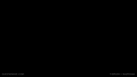 19403