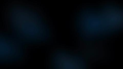 9007